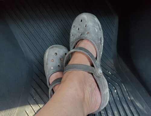 Fashion